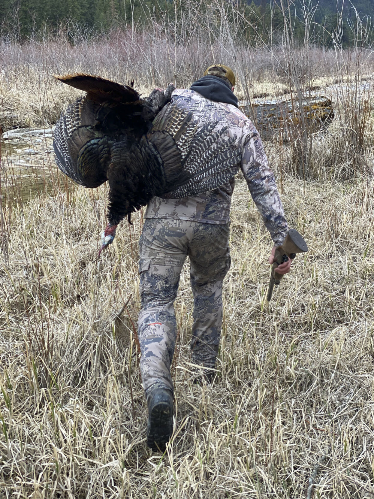 Hefty bird